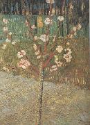 Vincent Van Gogh Almond Tree in Blossom (nn04) oil painting on canvas